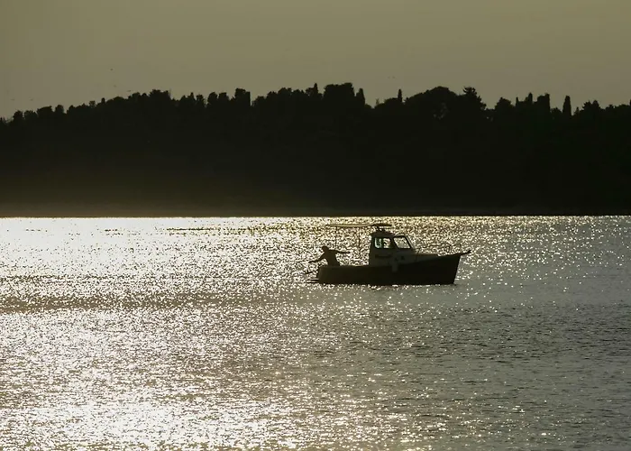 Bed & Breakfast B&b-ld 4*